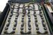 Toyota 8-FBE-16-T 175724 фото 3